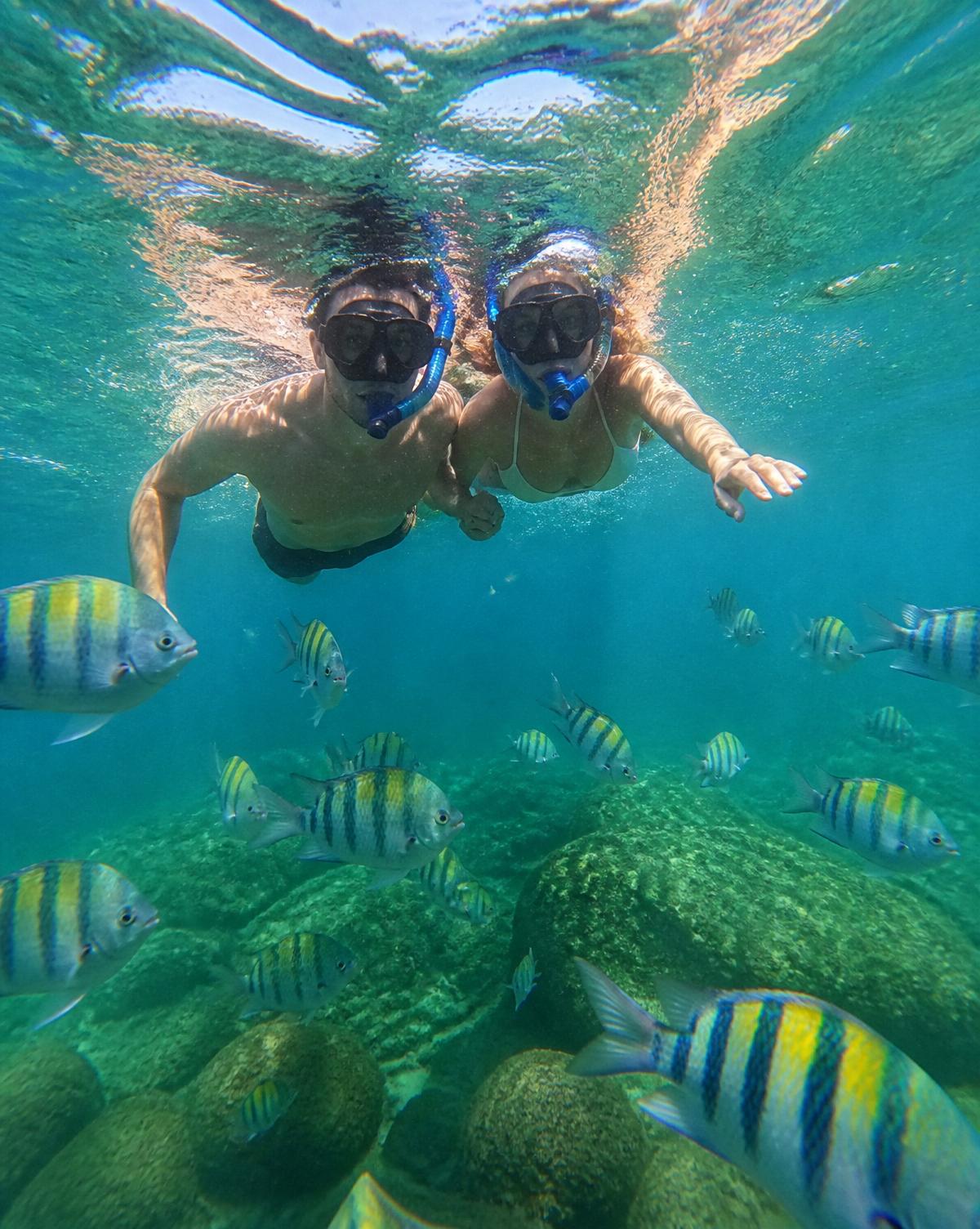 Snorkel